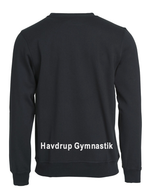 Havdrup Gymnastik Clique Basic Roundneck, Unisex